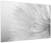 Kép - Pitypang (90x60 cm)