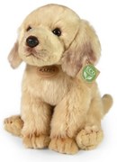 Rappa Plüss ülő labrador, 27 cm ECO-FRIENDLY