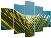 Kép - A pálmalevél részlete (150x105 cm)