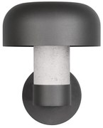 Fali kültéri lámpa (magasság 24,5 cm) Fraser – Trio