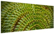 Kép - Fern (120x50 cm)