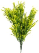 Művirág csokor Asparagus, 53 cm