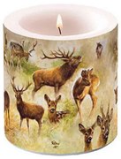 Őszi szarvasok átvilágítós viaszgyertya kicsi Collage of deers