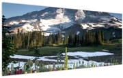 Kép - Mount Rainier (120x50 cm)