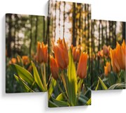 Narancssárga tulipán képe (90x60 cm)