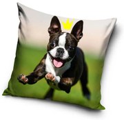 Kutyás Crown párnahuzat 40x40 cm