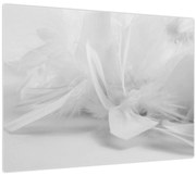 Üveg kép - Tollak (70x50 cm)