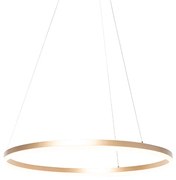 Design lógólámpa arany 80 cm LED-del, 3 fokozatban szabályozható - Anello