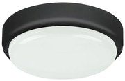 Rábalux Hort 7407 kültéri falilámpa, 15W LED, 4000K, 1100 lm, IP54, IK06
