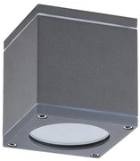 Rabalux 8149 - Kültéri mennyezeti lámpa AKRON 1xGU10/35W/230V IP54
