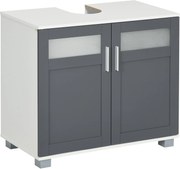 Kleankin Mosdó Alatti Szekrény Két Temperált Üvegajtóval és Állítható Polccal 69x35x59 cm Fehér és Szürke | Aosom