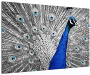 Kék páva képe (90x60 cm)