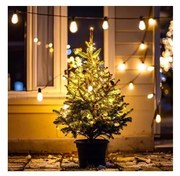 Brilagi - kültéri karácsonyi LED girland 10xLED/3xAA 3,2m IP44 meleg fehér