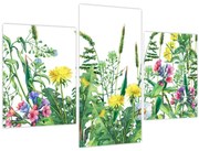 Kép - Festett réti virágok (90x60 cm)