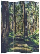 Paraván - Út a fák között (126x170 cm)