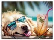 Gumis mappa, 15 mm, PP, A4, PANTA PLAST, Chillout dog (INP0410006453)