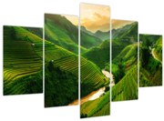 Kép - Mu Cang Chai rizsteraszok (150x105 cm)