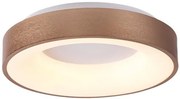 Rábalux CARMELLA 5052 Plafonlámpa 1x30W/LED 4000K 1950LM IP20