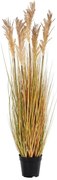 Fű műnövény (magasság 110 cm) Sorghum – House Nordic