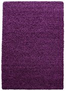 Sötétlila szőnyeg 120x170 cm Life – Ayyildiz Carpets