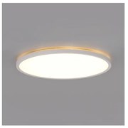 NIVERA LED 24W 230V IP54 fürdőszobai mennyezeti lámpa, 30 cm, fehér