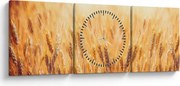 Kép - mező gabonával (órával) (90x30 cm)