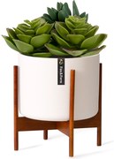 Fox & Fern Thorn, virágcserép, állvánnyal, 50-es évek stílusa, 2 méret