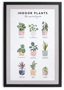Indoor Plants keretezett fali kép, 30 x 40 cm - Really Nice Things