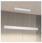 Brilagi - LED Dimmelhető csillár zsinóron SLIMLINE LED/40W/230V 3000-6000K fehér + távirányító