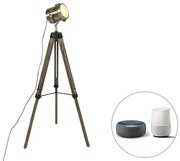 Smart állólámpa fa állvány stúdió spotlámpával, WiFi B35 - Braha