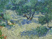 Reprodukció Olive Orchard, Vincent van Gogh