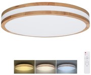 Solight Solight WO8008 - LED dimmelhető lámpa WOODY LED/60W/230V 3000-6500K, 50 cm, DO SL1531