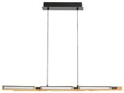 Rabalux 72045 - LED Csillár zsinóron REMIEL LED/30W/230V 3000K