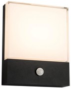 Top Light - LED Kültéri fali lámpa érzékelővel NOEL LED/10W/230V IP54