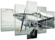 Kép - repülőgép (150x105 cm)