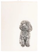 Pamut konyharuha 70x50 cm Farm - Tiseco Home Studio