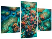 Kép - Kilátás a tengerre (90x60 cm)