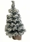 Tiga havas karácsonyfa jutában, 50 cm, 50 cm