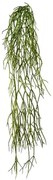 Művirág Rhipsalis függő, 61 cm, zöld