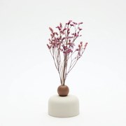 GINGER CREAM dizájner diffúzor - ANOQ