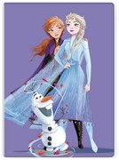 Disney Jégvarázs Purple polár takaró 100x140cm