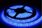 Led Szalag Kék 2835 9,6W 600LED/5m