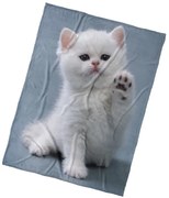 BedTex Gyermek takaró Cica Dej Pac, 150 x 200 cm