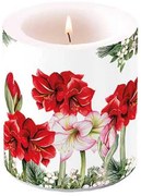 Átvilágítós gyertya 10x10 cm Karácsonyi Amarillisz