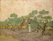 Reprodukció The Olive Pickers, Saint-Remy, 1889, Vincent van Gogh