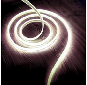 LED Szalag LED/50W/12V 5 m 6500K IP65