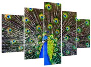 Kép - Páva (150x105 cm)