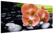 Kép - Narancssárga orchidea pálmalevelekkel (120x50 cm)