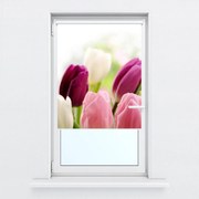 Fotó redőnyök R012125R42150 (42x150 cm)