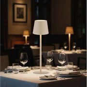 Globo 58438S - LED Dimmelhető érintős kültéri lámpa VANNIE LED/3W/3,7V IP44